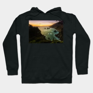 Julia Pfeiffer Burns' View Hoodie